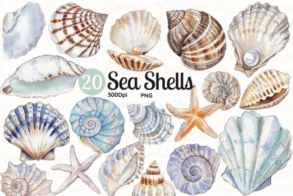 Download Seashell Clipart Sea Shell Illustrations - Premium Resources