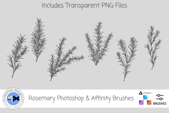 Download Rosemary Photoshop &amp; Affinity Brushes - Brushes Collection